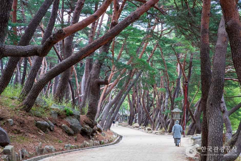 양산 통도사 관광사진