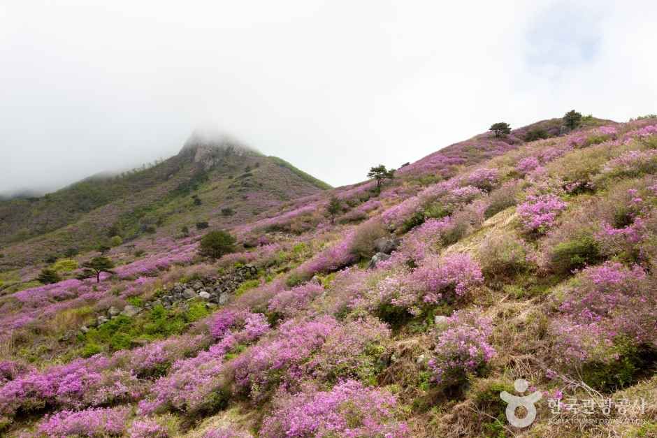 황매산 관광사진