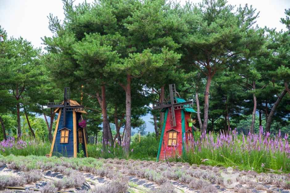 자라섬 관광사진