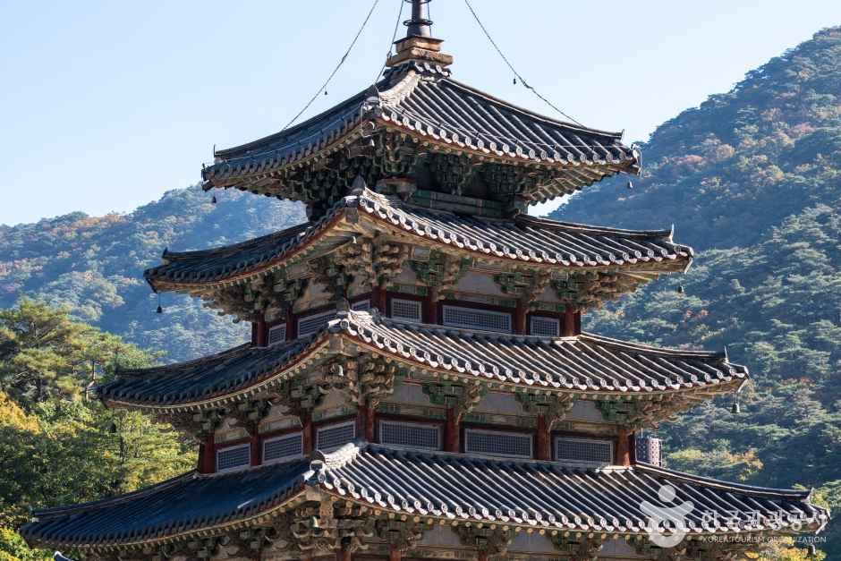보은 법주사