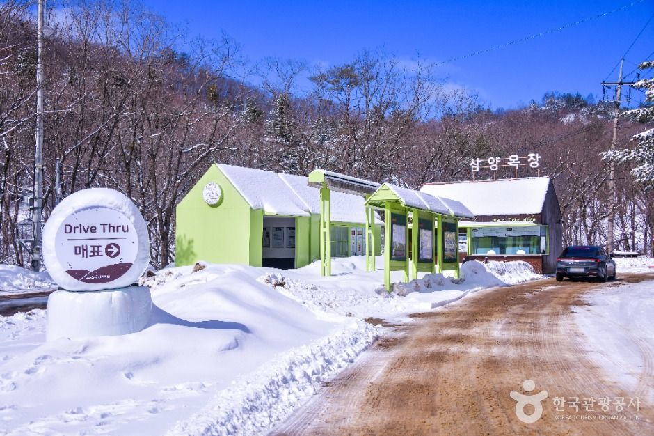 삼양라운드힐