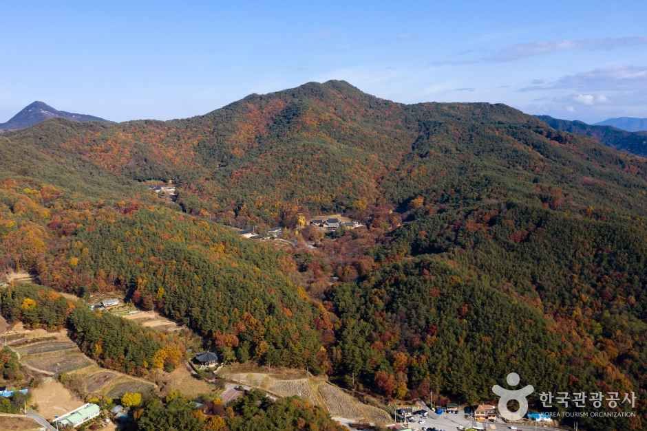 안동 봉정사