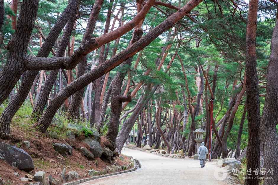 양산 통도사 관광사진