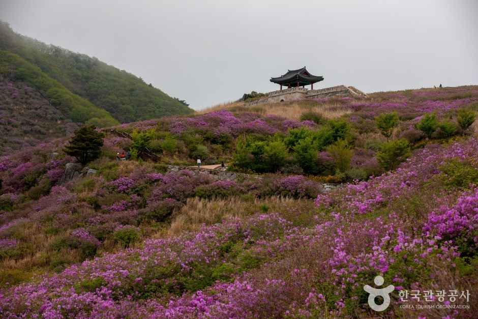 황매산 관광사진