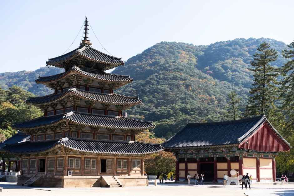보은 법주사