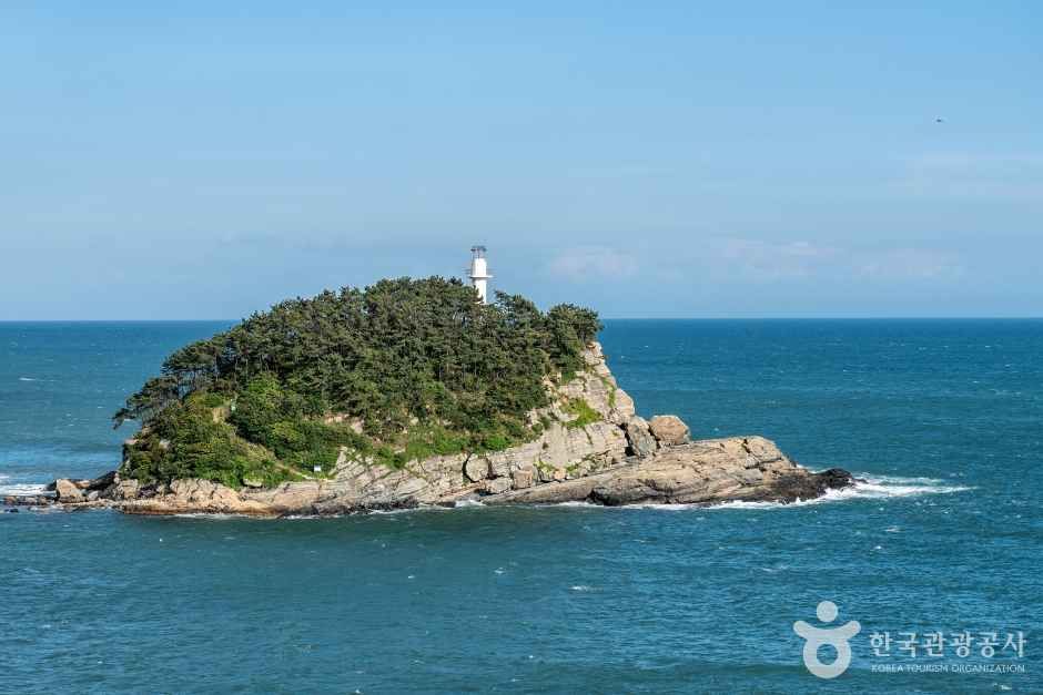 몰운대