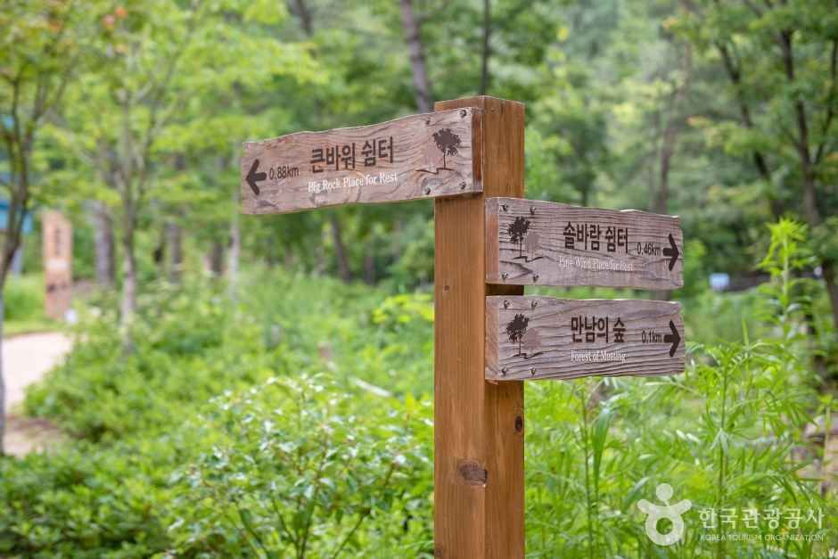 부산 치유 숲 관광사진