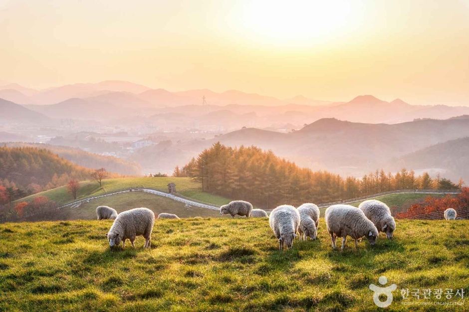 목장의 저녁 · 사진 황보달