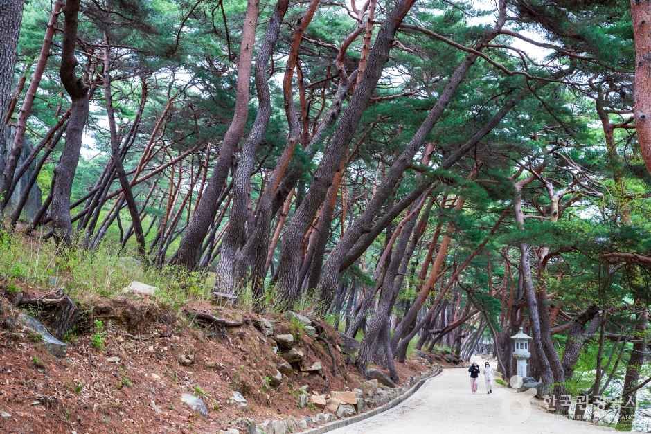양산 통도사 관광사진