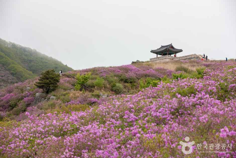 황매산 관광사진