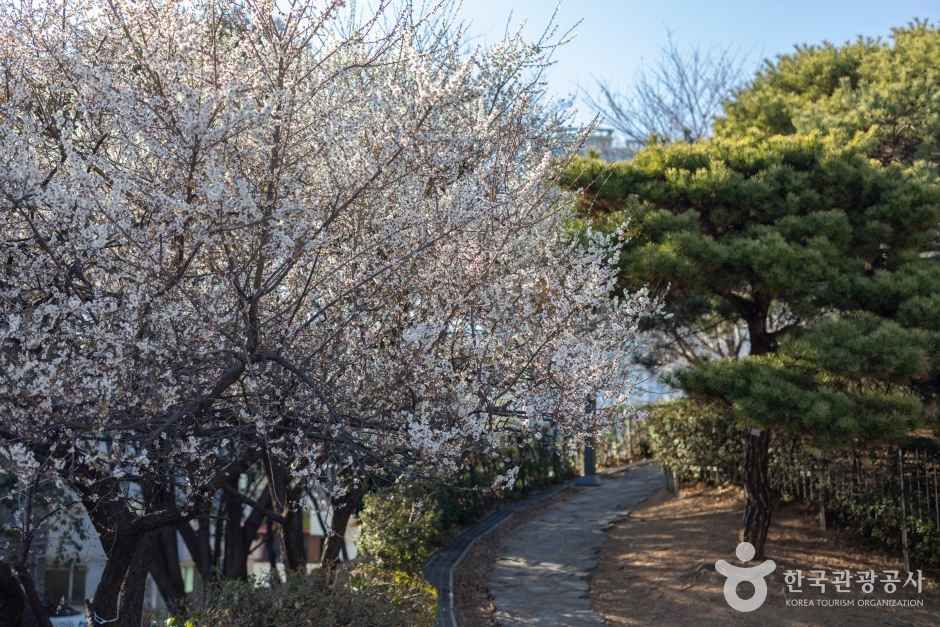 수영사적공원 관광사진