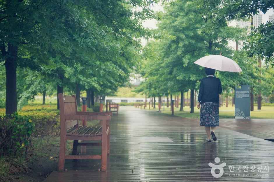 시민공원 관광사진