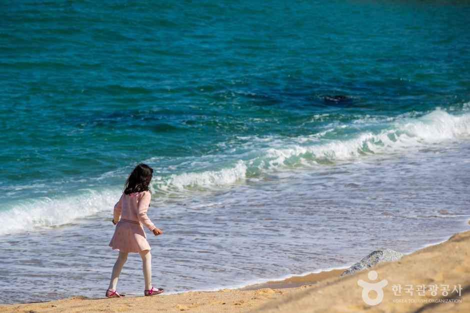 영진해변 관광사진