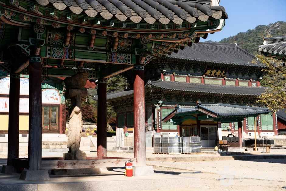 보은 법주사