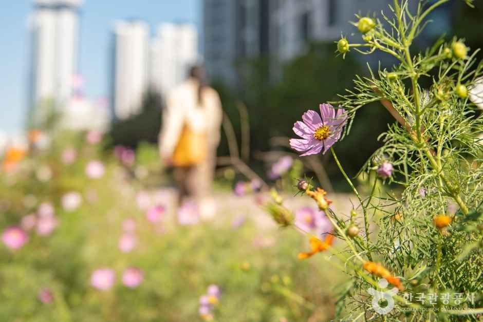 해운대 그린레일웨이 관광사진