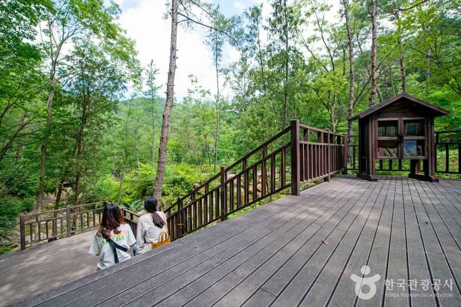 부산 치유의 숲 관광사진