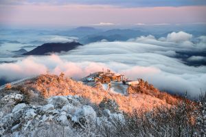 겨울왕국