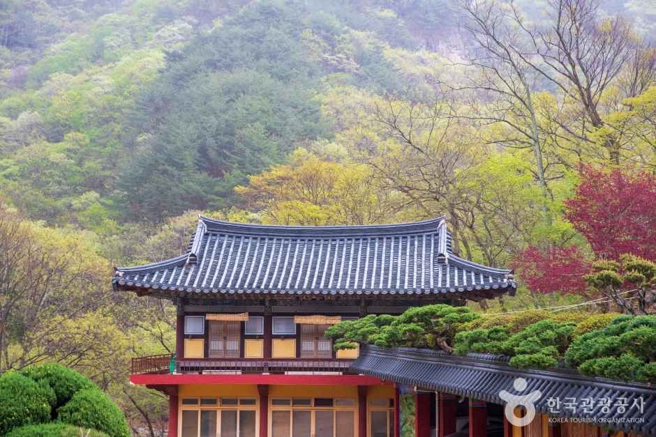 양산 내원사