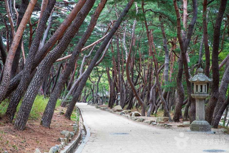 양산 통도사 관광사진