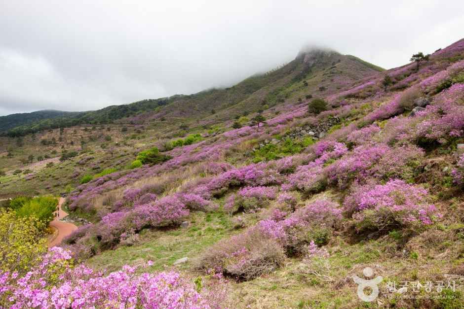 황매산 관광사진