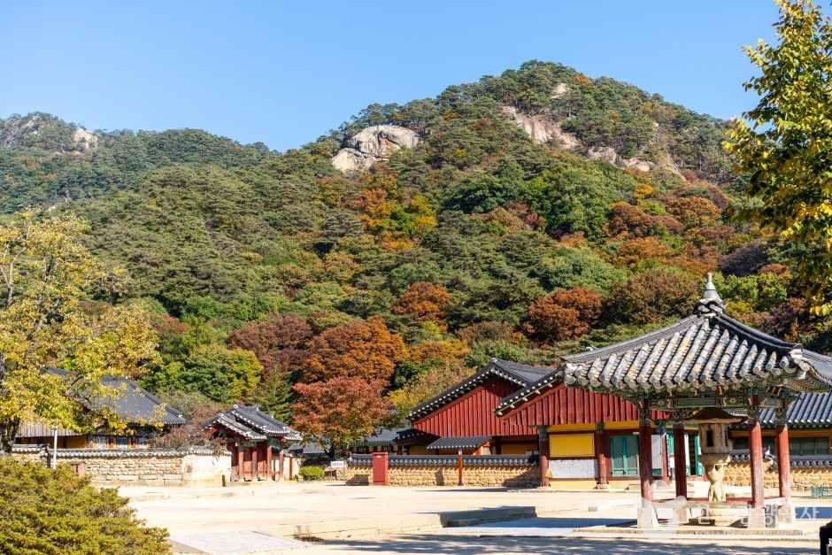 보은 법주사