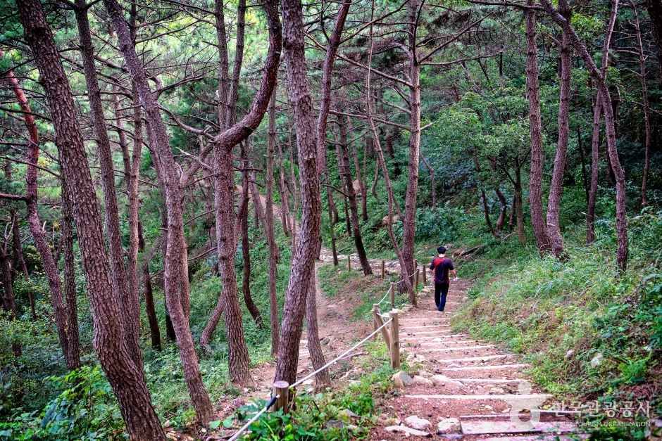 황령산 관광사진