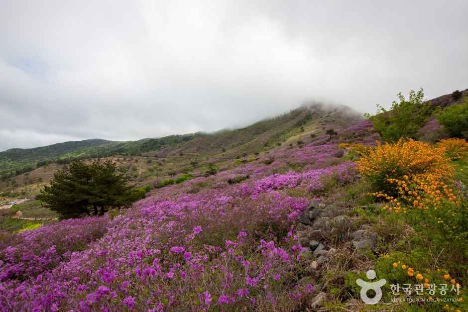 황매산 관광사진