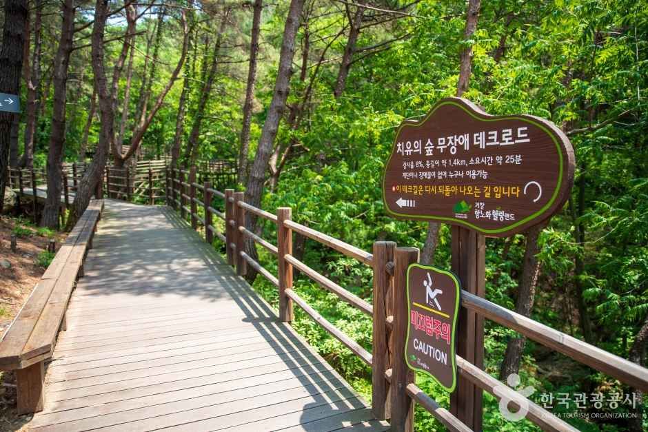 거창 항노화힐링랜드 관광사진
