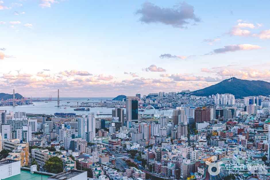 심야카페투어 관광사진