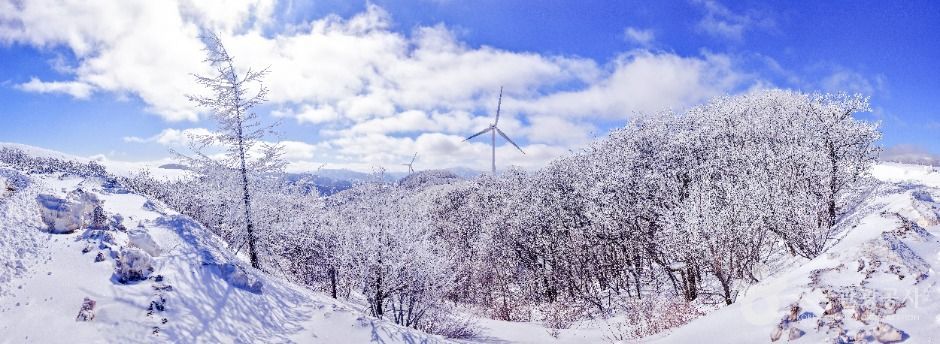 Samyang Roundhill（삼양라운드힐）