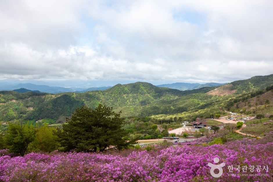황매산 관광사진