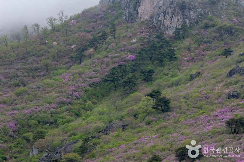 황매산 관광사진