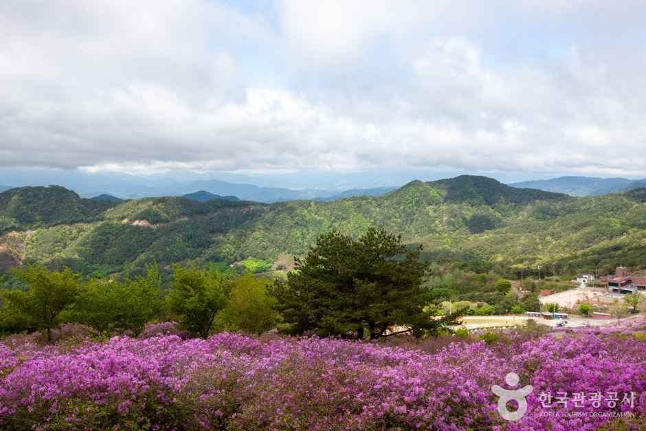 황매산 관광사진