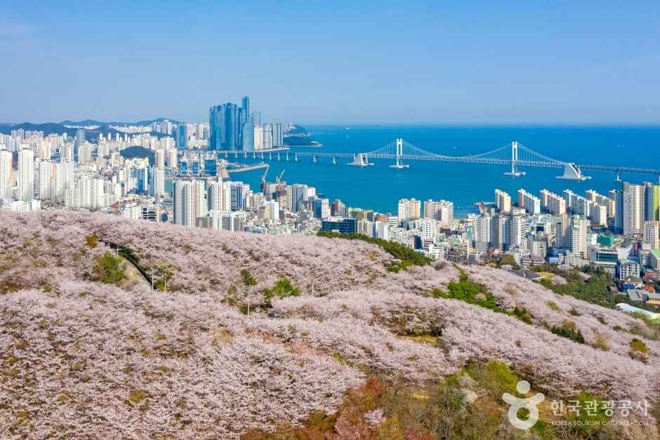황령산 관광사진