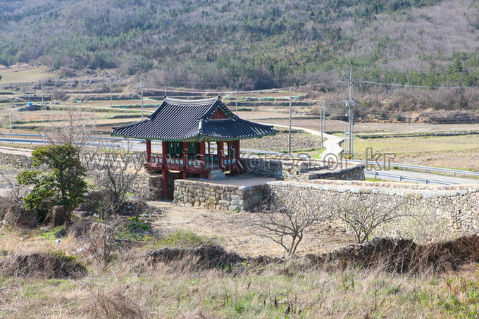 2009008