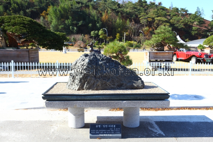 순천만국가정원 관광사진