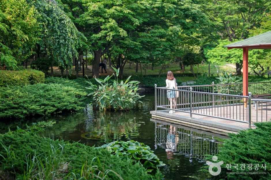 고흐 길 관광사진