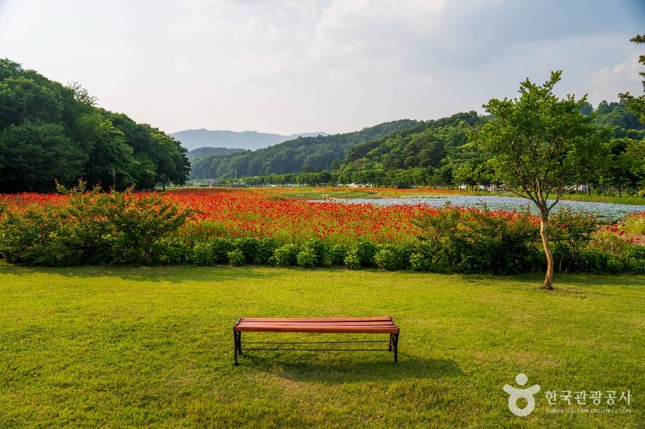 상림공원 - 경남 함양군 함양읍 교산리 1073-1 관광 명소