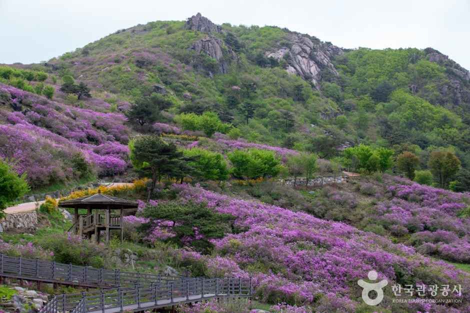 황매산 관광사진