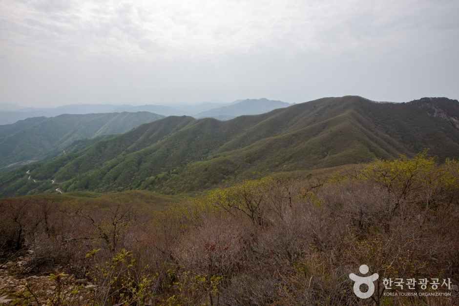 함양 대봉산 휴양밸리 관광사진