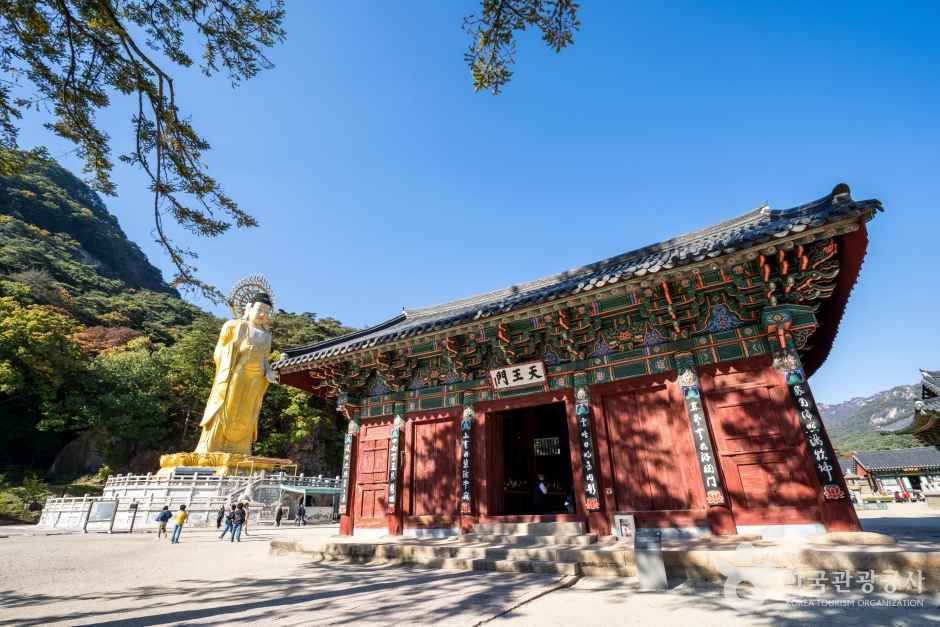 보은 법주사
