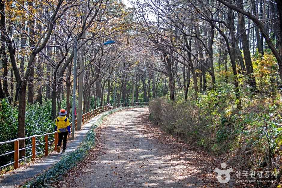 일광산테마길 관광사진