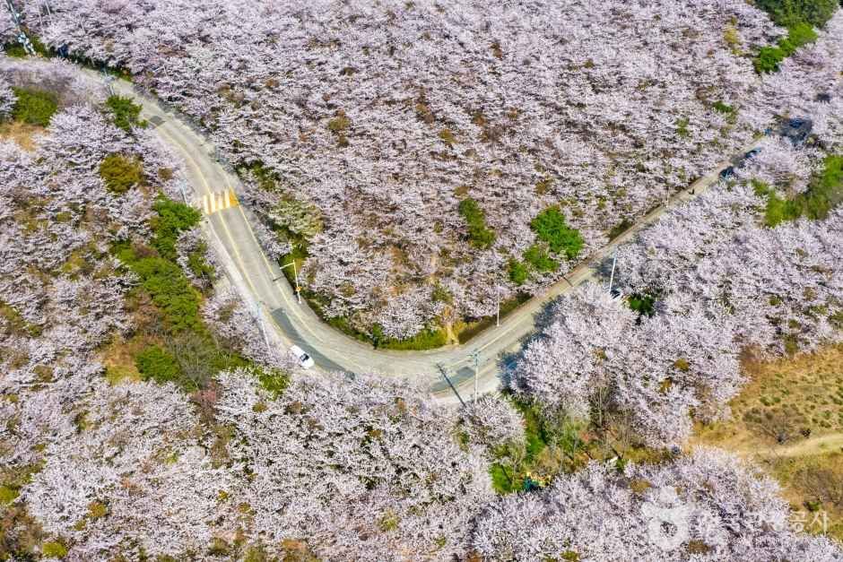 황령산 관광사진