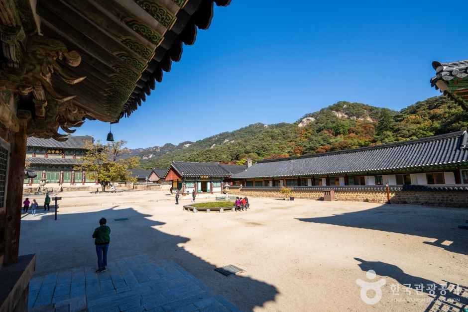 보은 법주사 관광사진