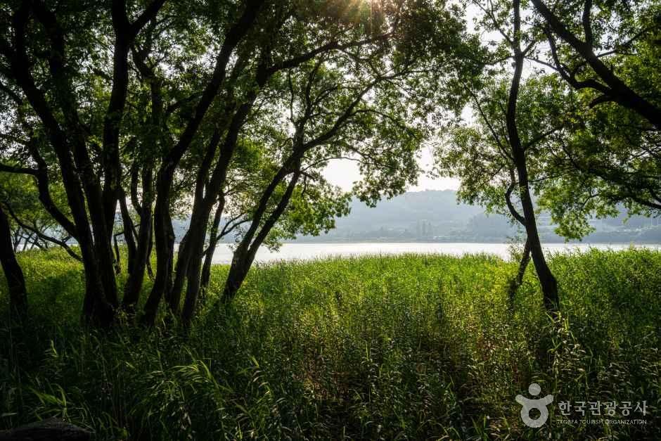 신정호정원 관광사진