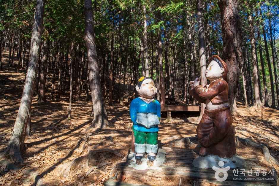 천마산 편백산림욕장 관광사진
