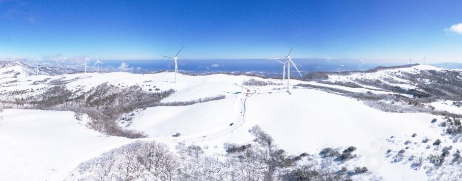 三養Roundhill(삼양라운드힐)
