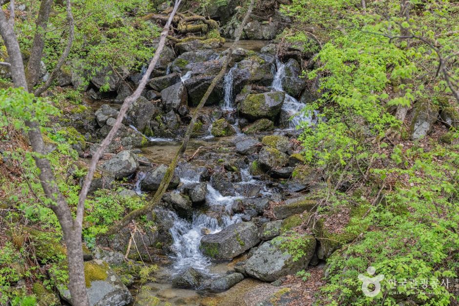 점봉산 곰배령 설악산국립공원 4