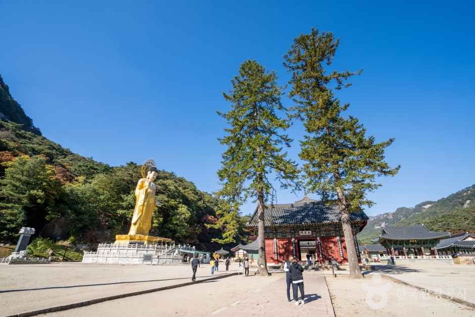 보은 법주사 관광사진