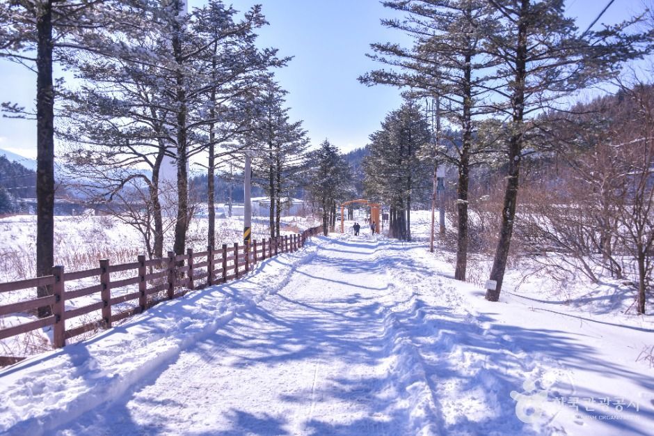 선자령